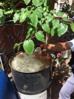 SİVRİSİNEKLE MÜCADELE