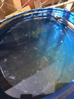 SİVRİSİNEKLE MÜCADELE