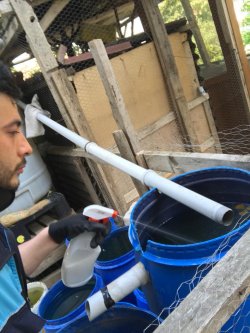 SİVRİSİNEKLE MÜCADELE