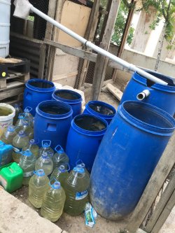 SİVRİSİNEKLE MÜCADELE