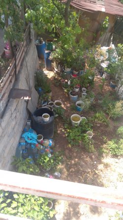 SİVRİSİNEKLE MÜCADELE