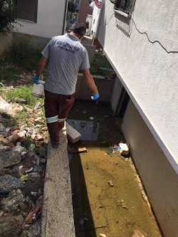 SİVRİSİNEKLE MÜCADELE