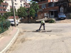 SİVRİSİNEKLE MÜCADELE