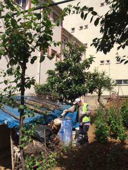 SİVRİSİNEKLE MÜCADELE