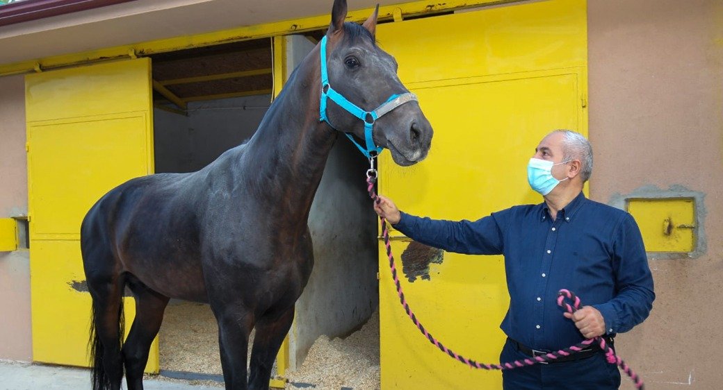 Başkan Büyükgöz’den  “Atlı Eğitim”e Davet