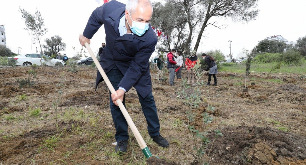 Sağlık Çalışanları İçin  Ağaçlandırma Çalışması