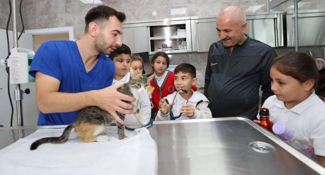 Gebze’de 309 Patili Cana Yeni Yuva Bulundu