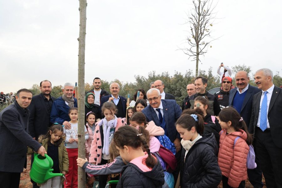 Milli Ağaçlandırma Günü;