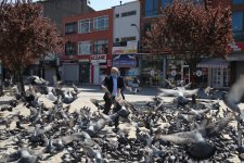 Başkan Büyükgöz; Verilen Hizmetleri Sahada Denetledi