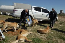 Başkan Büyükgöz; Verilen Hizmetleri Sahada Denetledi