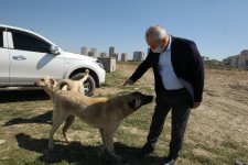 Başkan Büyükgöz; Verilen Hizmetleri Sahada Denetledi