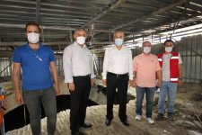 Gebze’de Tarihi Sarnıç Restore Ediliyor