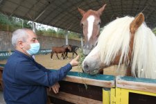 Başkan Büyükgöz’den  “Atlı Eğitim”e Davet