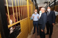 Başkan Büyükgöz’den  “Atlı Eğitim”e Davet