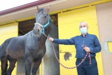 Başkan Büyükgöz’den  “Atlı Eğitim”e Davet