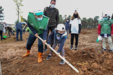Gaziler’de yüzlerce ağaç toprakla buluştu