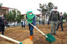 Gaziler’de yüzlerce ağaç toprakla buluştu