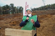 Gaziler’de yüzlerce ağaç toprakla buluştu