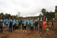 Gaziler’de yüzlerce ağaç toprakla buluştu