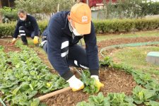 Her Şey Daha Yeşil Bir Gebze İçin