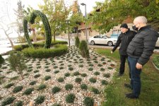 Her Şey Daha Yeşil Bir Gebze İçin