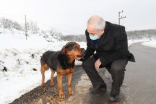Başkan Büyükgöz SokakHayvanlarını Besledi