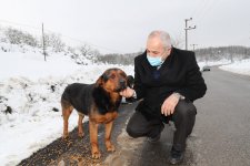 Başkan Büyükgöz SokakHayvanlarını Besledi