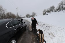 Başkan Büyükgöz SokakHayvanlarını Besledi