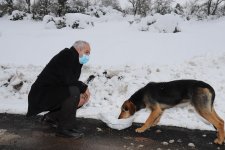 Başkan Büyükgöz SokakHayvanlarını Besledi