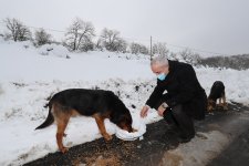 Başkan Büyükgöz SokakHayvanlarını Besledi