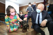 Büyükgöz: Hayvanları daima sevelim, koruyalım