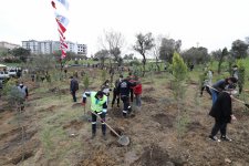 Sağlık Çalışanları İçin  Ağaçlandırma Çalışması