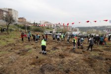 Sağlık Çalışanları İçin  Ağaçlandırma Çalışması