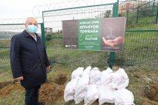 Sağlık Çalışanları İçin  Ağaçlandırma Çalışması