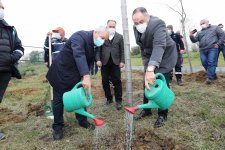 Sağlık Çalışanları İçin  Ağaçlandırma Çalışması