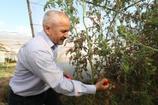 Başkan Büyükgöz Cumaköy’de