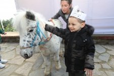    Gebze’de Engelliler Günü Etkinlikleri