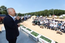 Başkan Büyükgöz’den;Gebzeli çiftçilere fide desteği