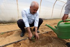 Başkan Büyükgöz’den;Gebzeli çiftçilere fide desteği