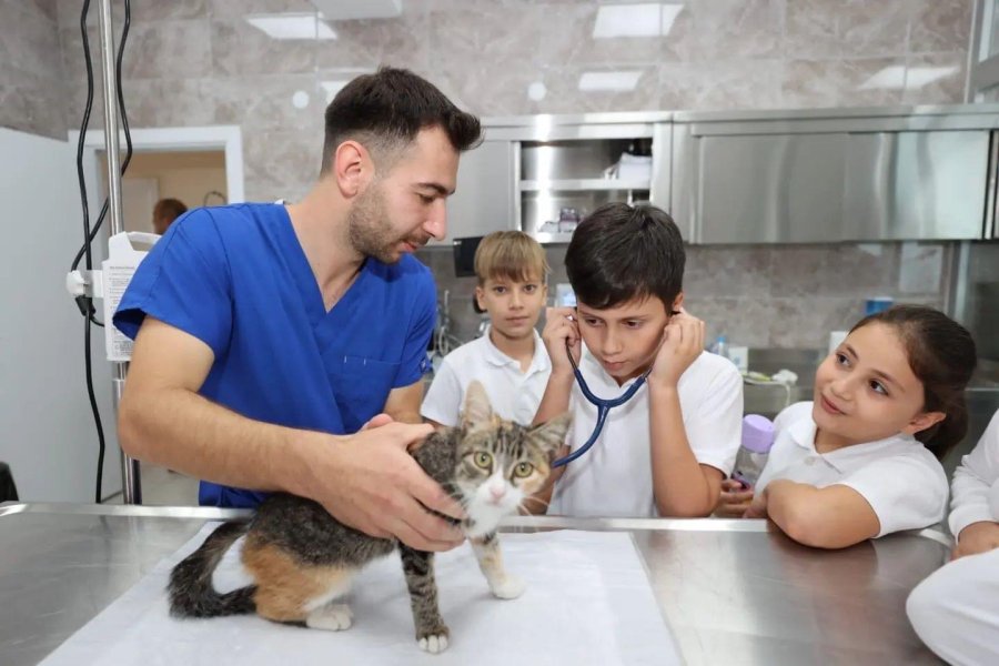 Gebze’de 309 Patili Cana Yeni Yuva Bulundu