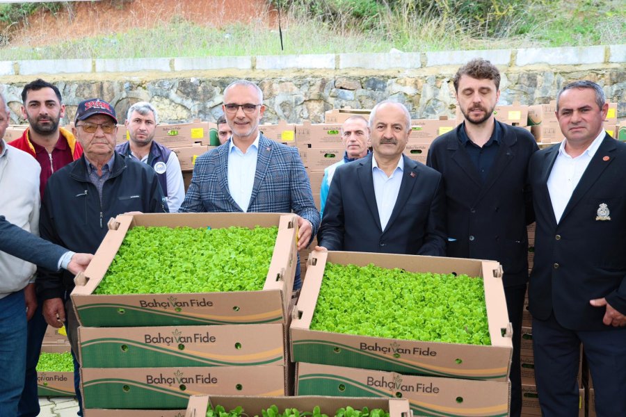Gebze Bölgesi Sebze Fidesi Dağıtım Töreni Kadıllı’da Gerçekleşti