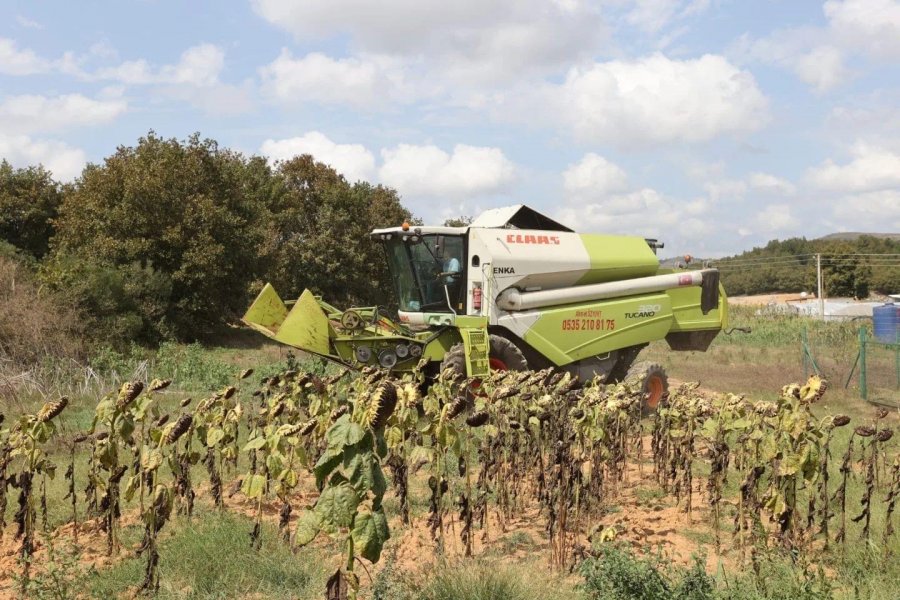 Başkan Büyükgöz kırsal mahallelerde