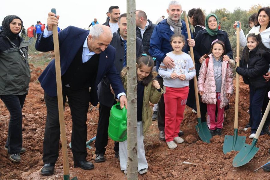 Milli Ağaçlandırma Günü;