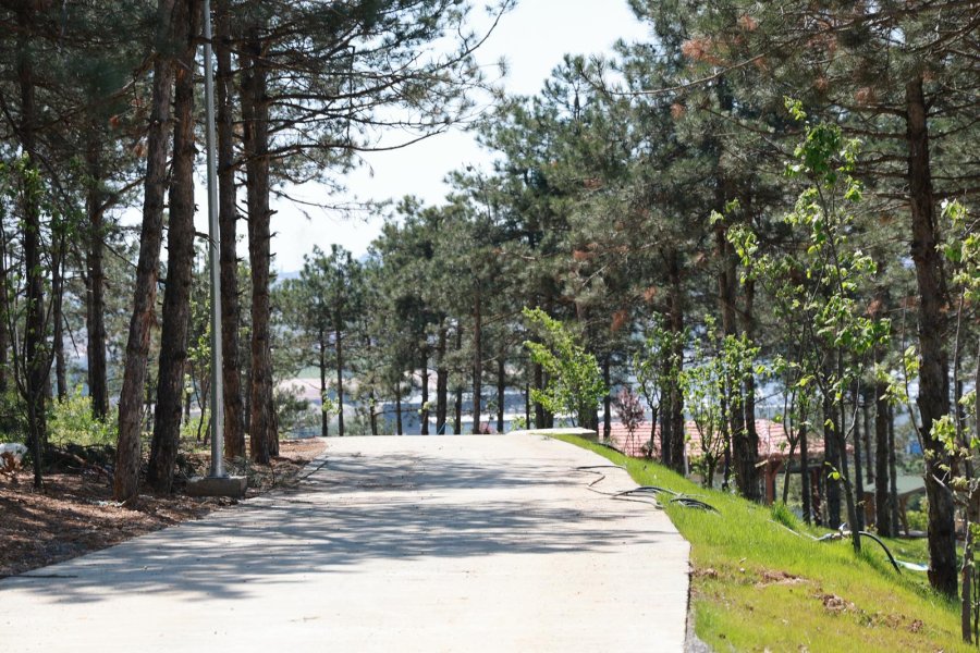 Başkan Büyükgöz Pelitli Bayraktepe Mesire Alanı’ndaki Çalışmaları Yerinde İnceledi