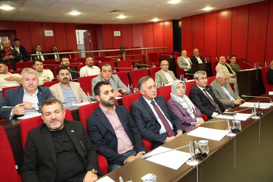 BAŞKAN BÜYÜKGÖZ MECLİSTE MÜJDE VERDİ