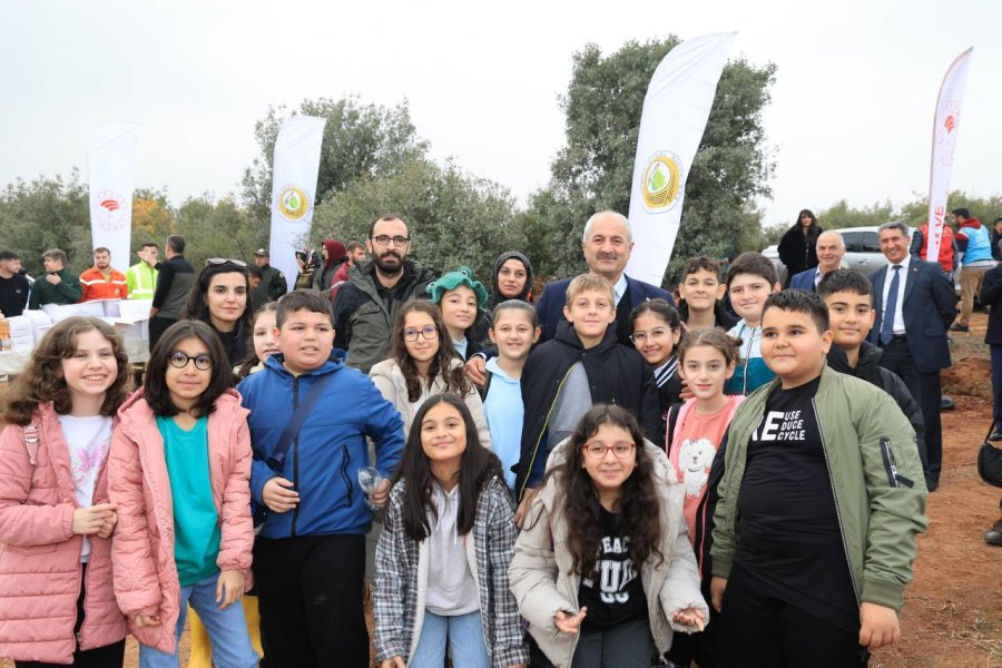 Milli Ağaçlandırma Günü;