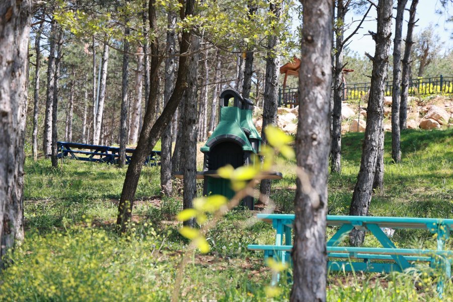 Başkan Büyükgöz Pelitli Bayraktepe Mesire Alanı’ndaki Çalışmaları Yerinde İnceledi