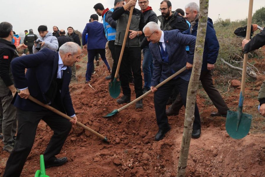 Milli Ağaçlandırma Günü;
