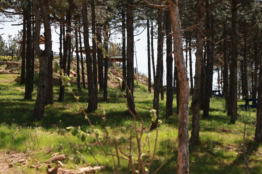 Başkan Büyükgöz Pelitli Bayraktepe Mesire Alanı’ndaki Çalışmaları Yerinde İnceledi