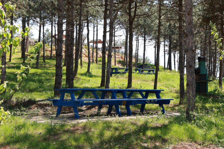 Başkan Büyükgöz Pelitli Bayraktepe Mesire Alanı’ndaki Çalışmaları Yerinde İnceledi